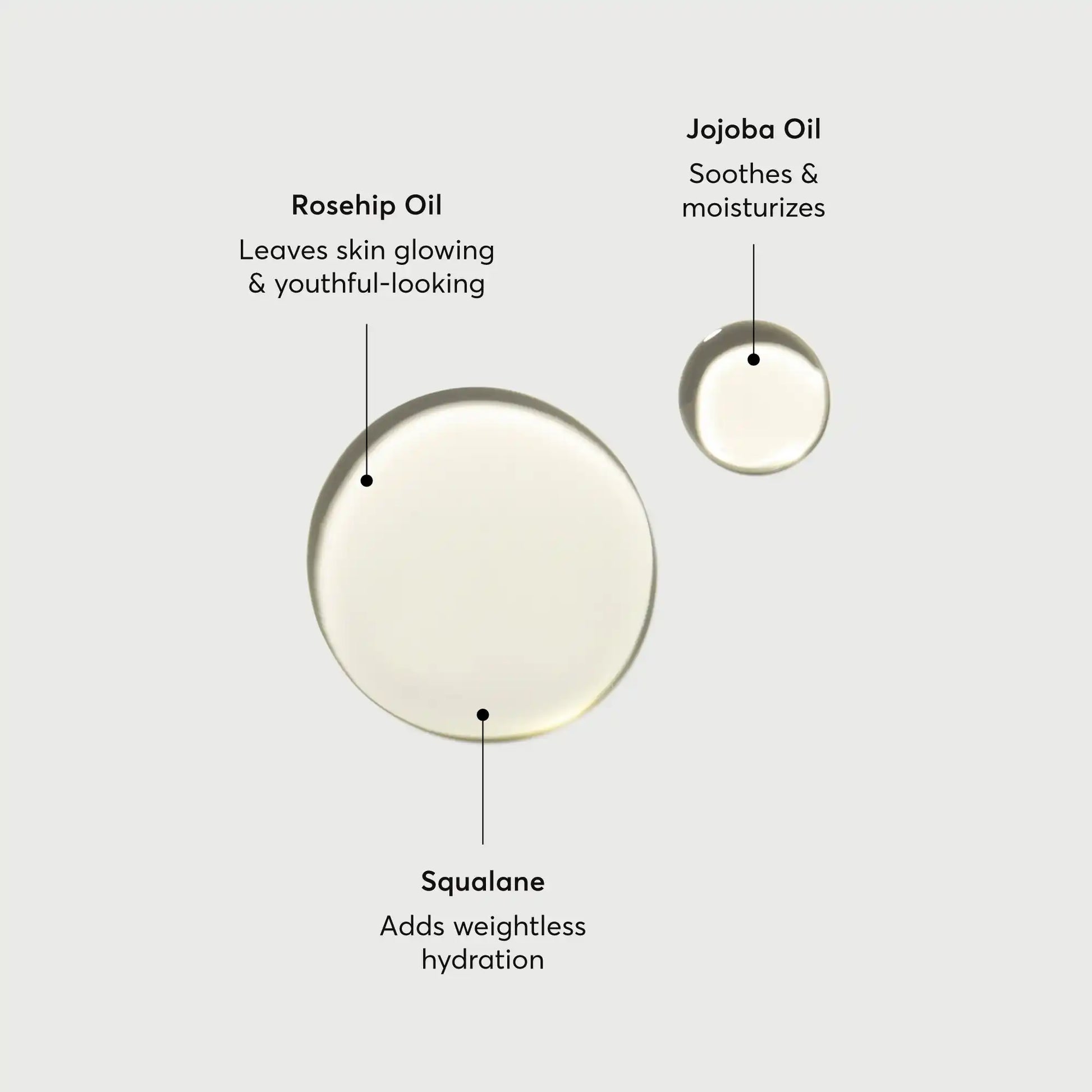 the-glow-getter-body-oil-m3 NATR-10115-Alt-Images-The-Glow-Getter-Body-Oil-01.webp