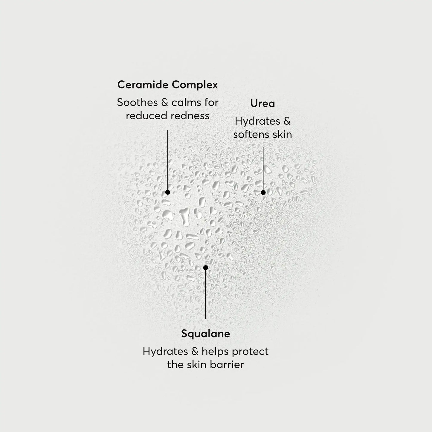 barrier-bounce-bi-phase-mist-v9 NATR-10167-Alt-Images-Barrier-Bounce-Bi-Phase-Toner-Mist_01.webp