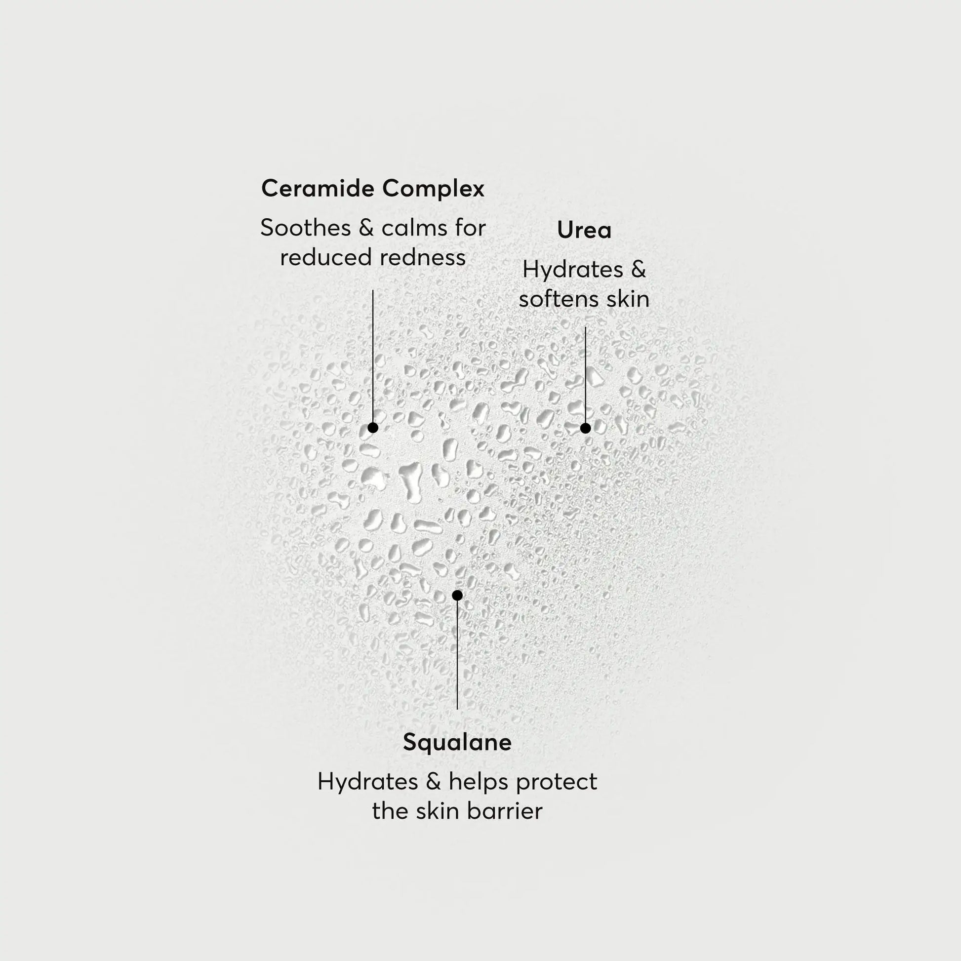 barrier-bounce-bi-phase-mist-v9 NATR-10167-Alt-Images-Barrier-Bounce-Bi-Phase-Toner-Mist_01.webp